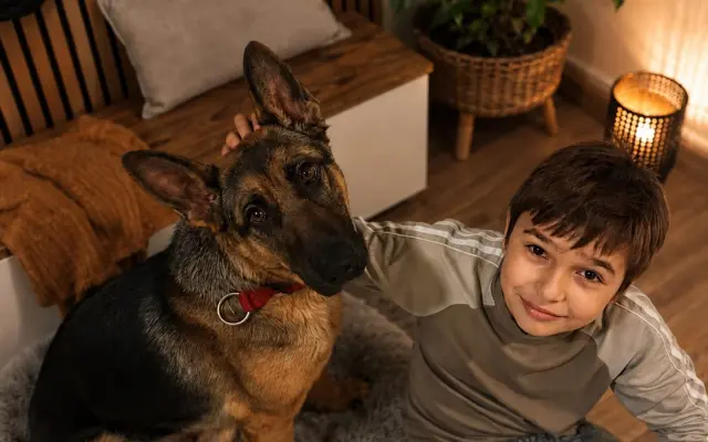 Pomôžme Lenke a Riškovi udržať strechu nad hlavou