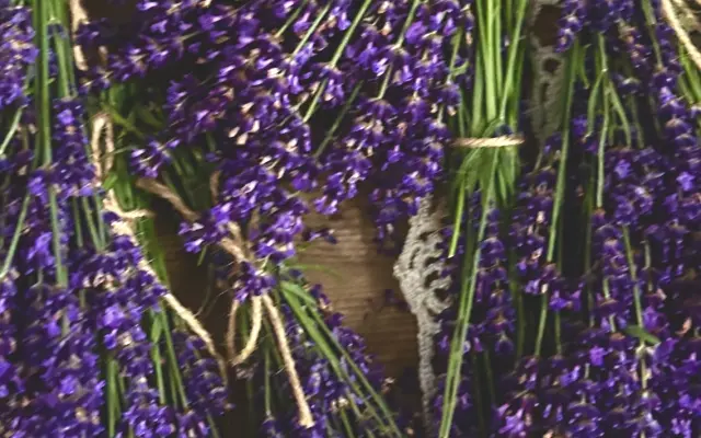 Ateliér na lánoch - podporte levanduľovú a bylinkovú farmičku na Orave