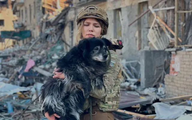 Pomohli ste opusteným psom v útulku Kristi rescue