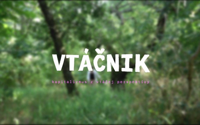 Podporte film Vtáčnik a pomôžte biodiverzite našich miest!