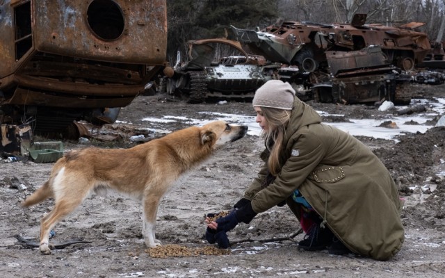 Pomôžte zachrániť zvieratá z frontových zón Charkovskej a Doneckej oblasti