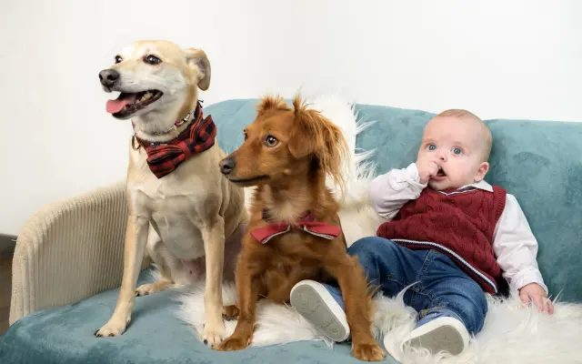 Pomôžme jazvečíčke Linde postaviť sa opäť na nohy