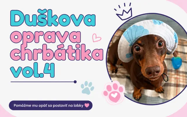 Oprava Duškovho chrbátika vol. 4