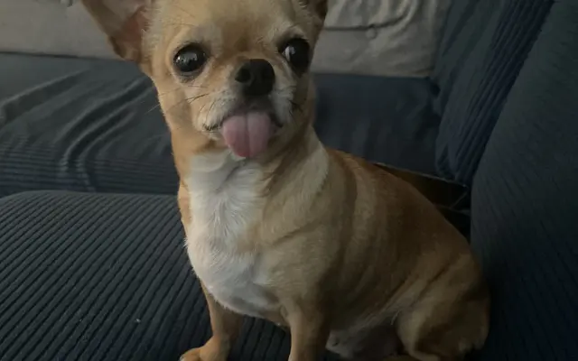  - 