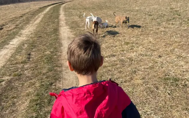 Pomôžme mame bezpečne cestovať za synom