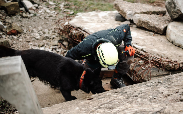 Podporte organizáciu FCI Majstrovstiev sveta záchranárskych psov 2024