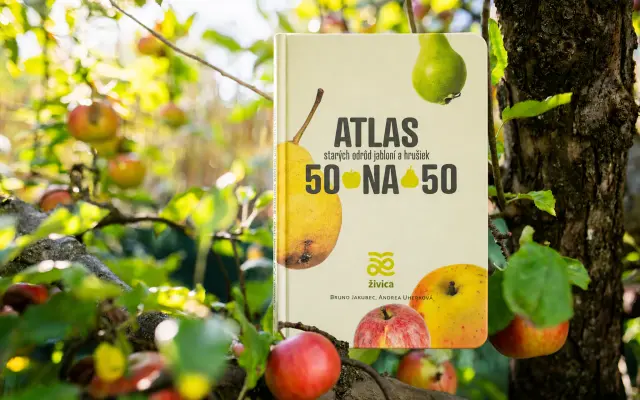 Vráťme do záhrad a škôl zabudnuté odrody. Podporte vydanie Atlasu 50 na 50
