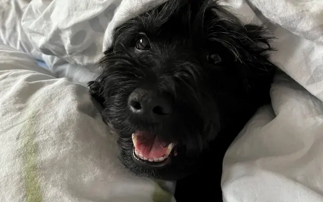 Pomôžte Kyrkovi pokračovať v liečbe vzácneho nádoru nadobličky