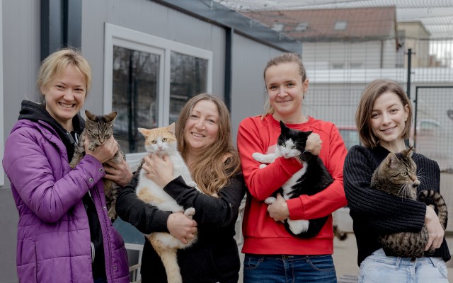 Staň sa záchrancom mačacích životov v OZ Pomoc pre zvieratká