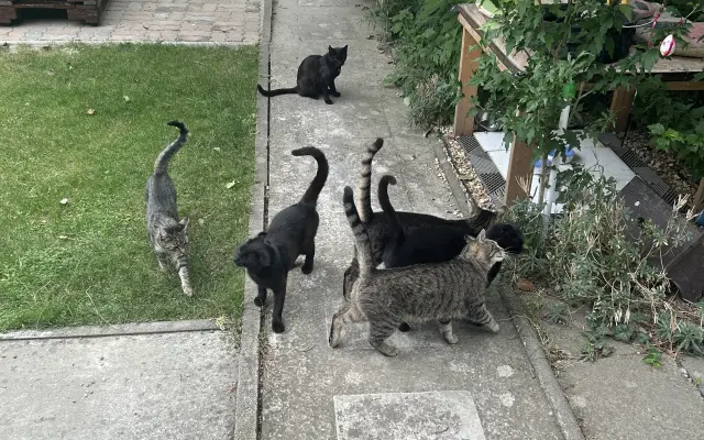 Podporili ste dlhodobú pomoc pouličníkom