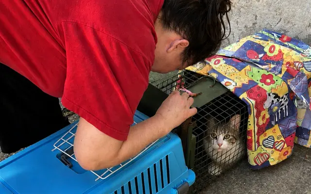 Pomohli ste Bridget Mačičkovej uhradiť veterinárny účet a pokračovať v pomoci mačičkám