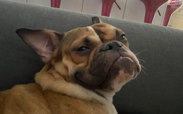  - 