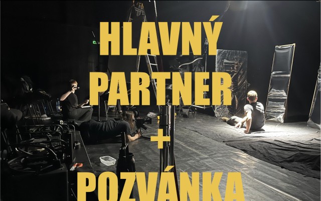 Hlavný partner