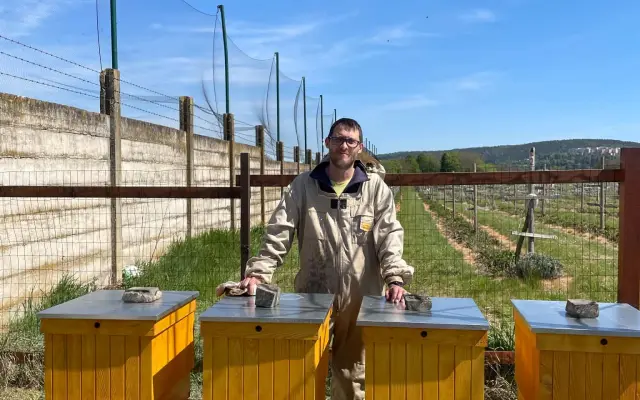 Adopcia úľa – 150 € a viac