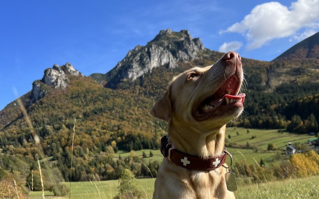 Bača na týždeň (zážitkové ubytovanie na 5 nocí)