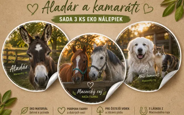 Sada 3 ks eko-nálepiek „Aladár a kamaráti“