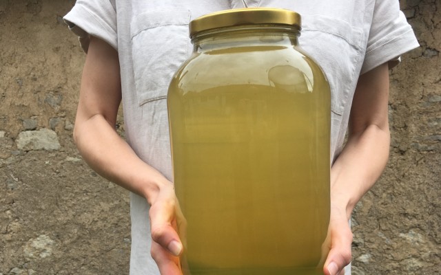 5 kg pohár domáceho medu