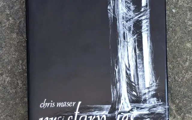 Kniha Prastarý les od Chrisa Masera