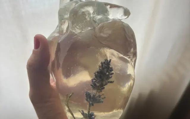 Bylinkardium