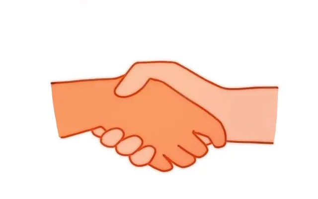 Partner filmu