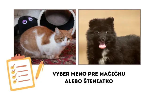 Krstný otec/ krstná mama