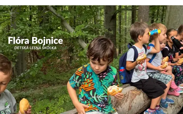 Patrón lesnej škôlky