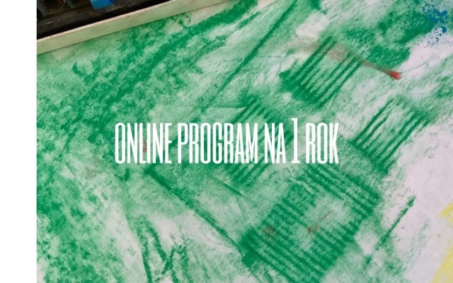 Online program na 1 rok