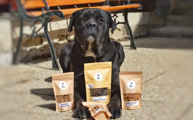 Veľký box Nufky pamlskov