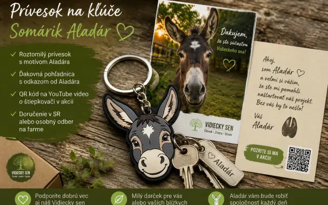 Prívesok na kľúče - Somárik Aladár bude vždy s vami