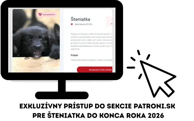Online patrón šteniatok