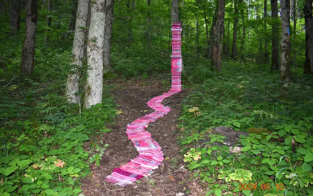 Tvorivý workshop a komentovaná prehliadka výstavy