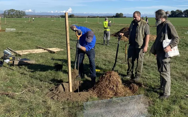 Posadíme za vás 1 strom v okolí Pezinka