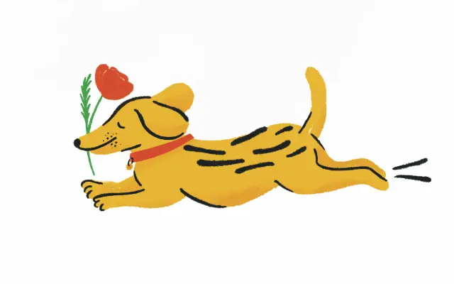 Podpora s poďakovaním