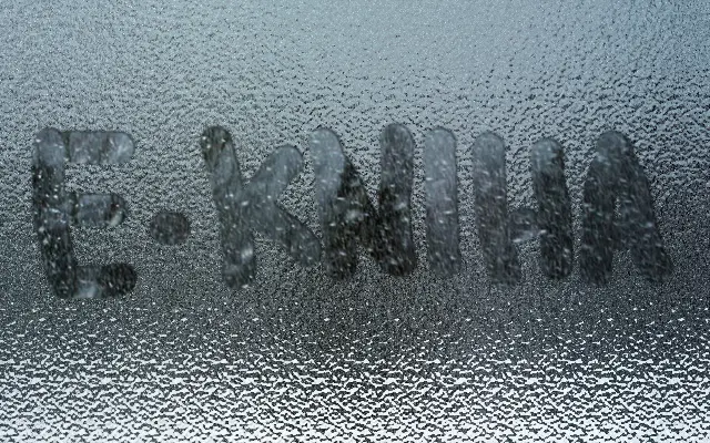 E-kniha režisérky ,,Cesta pastiera sobov´´