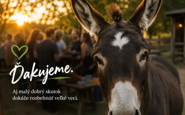 Dobrý skutok pre Aladára (Darujem len tak)