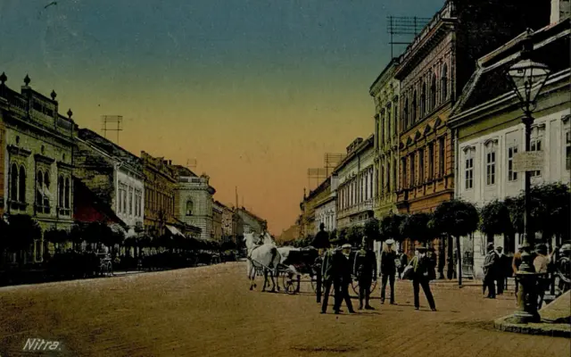 1 ks knihy Panoptikum starej Nitry s podpisom autora a poštovným, 1 ks farebná reprodukcia pohľadnice približne z roku 1921. Len v rámci tohto projektu