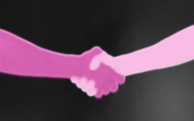 Partner filmu / Film Partner