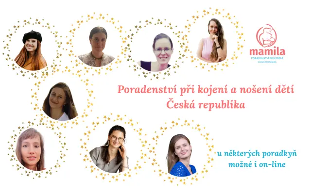 Poradenství při kojení a nošení, Česká republika