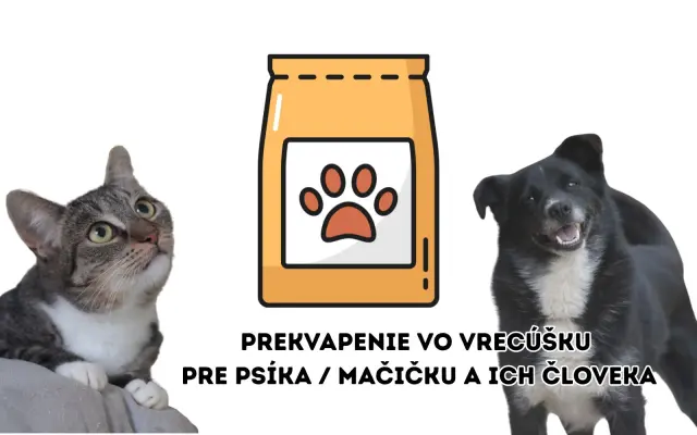 Tajomné vrecúško