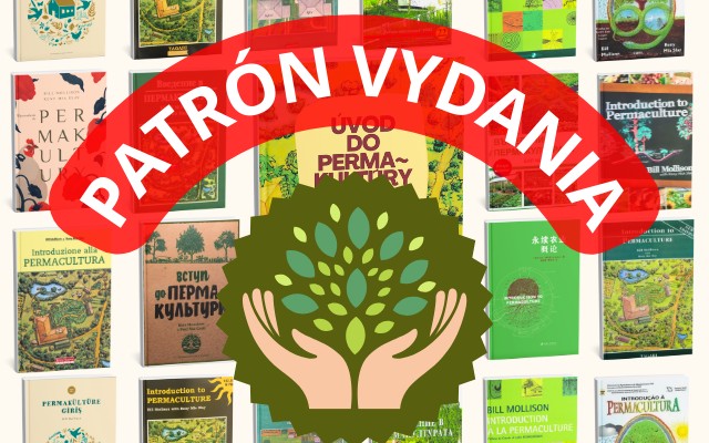 Patrón vydania