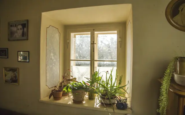 Odborný workshopov tradičných renovačných postupov