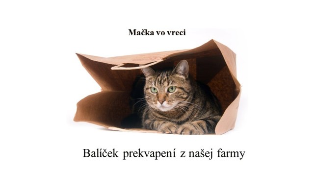 Mačka vo vreci z našej farmy