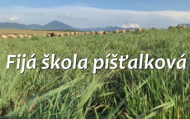 Dobrý pocit, ĎAKUJEME:)