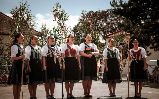 Chcem prispieť bez odmeny