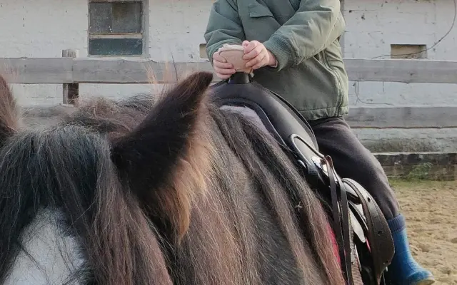 Vozenie detí